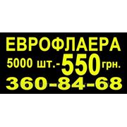 Еврофлаера 5000 шт. — 550 грн. фото