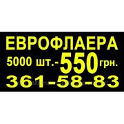 Еврофлаера, флаера 5000 штук — 550 грн. фото