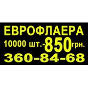 Еврофлаера 10000 шт. — 850 грн. фото