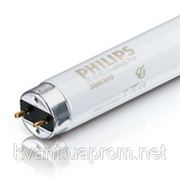 Лампа люминесцентная Philips 15вт фото