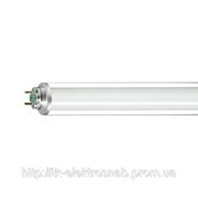Люминесцентная лампа Philips Master Xtra Polar фотография
