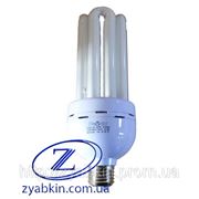 Лампа энергосберегающая DELUX EQS-06 65 W 6400K E27 фото