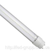 Лампа светодиодная LED T8-8BT фото