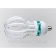 Енергозб. лампа Realux Lotus 25W E27 6400к фото