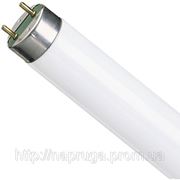 Люминесцентная лампа T8 36 Вт G13 Оптима фото