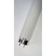 Энергосберегающая люминесцентная лампа ЛБ20-1 фото