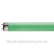 Люминесцентная лампа Philips TLD 18W/17 green фото