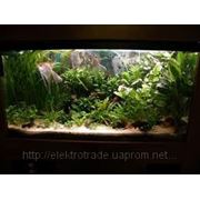 Люминесцентные лампы для растений и аквариумов OSRAM FLUORA T8 G13 фото