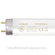 Лампы люминесцентные General Electric POLYLUX(улучшенная цветопередача) T8 G13 18Вт(США,Германия,Франция) фото