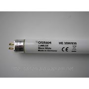 Лампы люминесцентные OSRAM T5 HE 35W/830 G5(Германия) фото