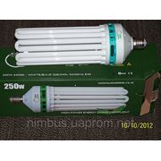 Энергосберегающие лампы высокой мощности ЭСЛ 125-300 Вт для теплиц и гидропоники фото