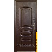 Дверь металлическая Магна М-01 фото