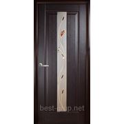 Венге Премьера+Р1 ПВХ с рисунком (60, 70, 80, 90см). Межкомнатная дверь МДФ Новый Стиль фотография