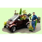 доставка цветов фото