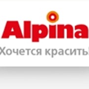 Весь ассортимент красок Alpina фото