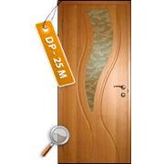 Дверь межкомнатная модели“ ДР 6,13, 25, 27, 31 М Модерн“ фотография