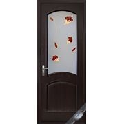 Дверь межкомнатная “АВЕ“ фото