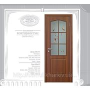 Межкомнатная дверь FORTIS 1 фото