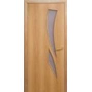 Двери межкомнатные МДФ ламинированные Лиана (С-2) фотография