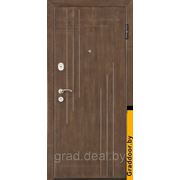 Дверь металлическая Monte Bello M 082 (A, B, D)