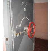Дверь герметическая распашная ДУ-IV-2 фото