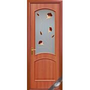 Дверь «Аве» с рисунком