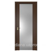 Двери межкомнатные шпонированные М-049 фотография