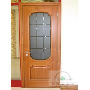 Модель «Оптима» — деревянные двери межкомнатные Днепропетровск фото