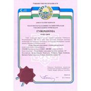 Электронная экспертная система Налоги - вопросы и ответы фото