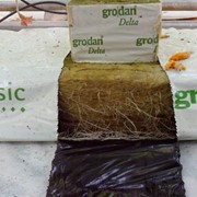 Минеральная вата для выращивания растений Grodan фото