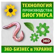 Продам: технология производства биогумуса в Харькове фото