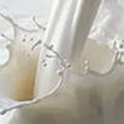 Молоко «Нью милки экстра» фото