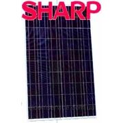 Солнечная батарея 245Вт 24В / SHARP  поли
