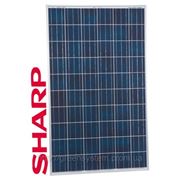 Солнечная батарея SHARP ND 245W-24V, poly фото