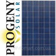 Солнечная батарея Progeny Solar PS250S (250 W\24V) фото