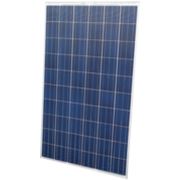 Солнечная батарея PROGENY Solar PS250S - 250Вт/24В, poly фото