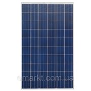 Солнечная батарея 250 Ватт 24 Вольта панель Progeny Solar поликристалл фото