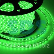 LED лента Neon-Night, герметичная в силиконовой оболочке, 220V, 13*8 мм, IP65, SMD 5050, 60 диодов/метр, цвет светодиодов зеленый, бухта 50 метров фото