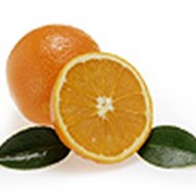 Цитрусовые Помело (Pomello) Лимон (Lemon) Лайм (Lime) Грейпфрут красный (Grapefruit red) Грейпфрут белый (Grapefruit white) Апельсин (Orange) фотография