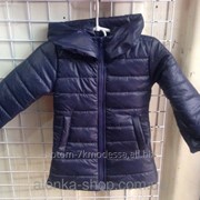 Детские куртки для девочек 92-116 темно-синяя, код товара 123919700