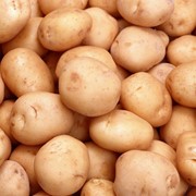 Продовольственный картофель фотография