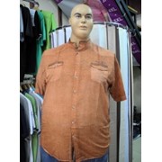 Мужская рубашка Артикул: 155, больших размеров оптом и в розницу