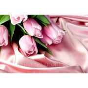Фотообои Розовые тюльпаны фото