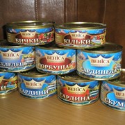 Консервы рыбные фото