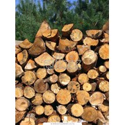 Лесоматериалы, пиломатериалы, дрова продам