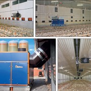 Системы отопления для птицеферм Производства компании Big Dutchman. фотография