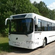 Автобус Неман 520123-260 фото