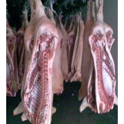 Мясо свинина полутуши охлажденное фото