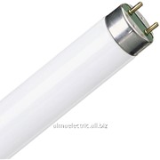 Лампа Люминецентная L 18W/640 33 T8 RADIUM MEGALIGHT 25 фото