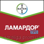 Протруйник Ламардор Про фото